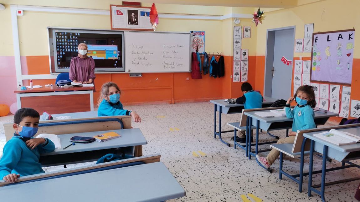İlkokul 1.Sınıf Öğrencilerimiz Bugünkü Türkçe Dersinde Bilgi Kuşu Adlı Okuma Parçasını Okudular