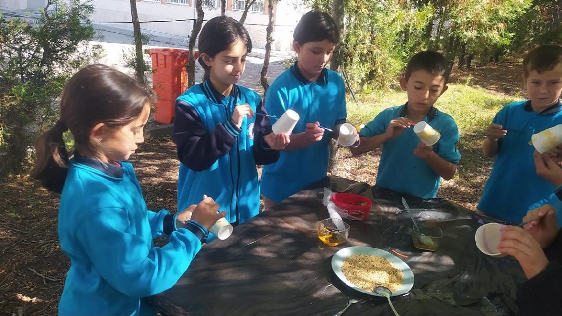 ''Yeşil Vatan, Benim Okulum Geleceğe Çare'' Etkinlikleri Kapsamında Kuşlar İçin Bardakta Yem Hazırladık (4 Ekim Dünya Hayvanları Koruma Günü)